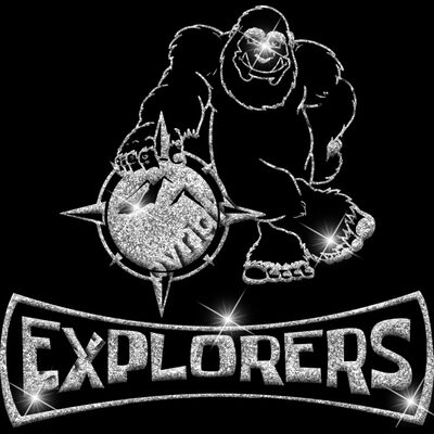 GLT94 SILVER GLITTER Thumbnail